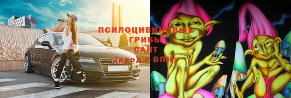 стафф Богородицк